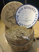 精品咖啡 牙买加桶装蓝山 牙买加庄园咖啡生豆